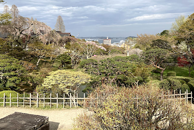 志波彦神社の境内