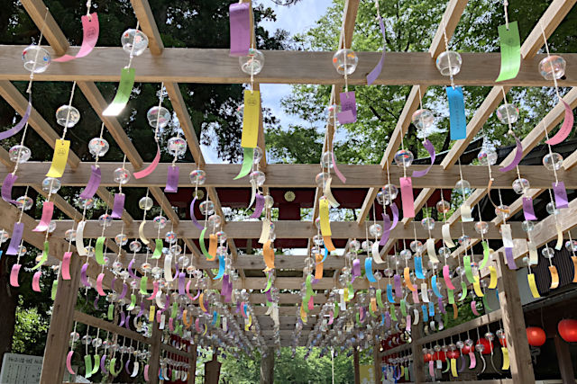 伊佐須美神社「南光檜」