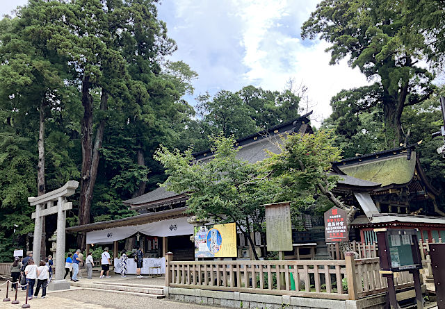 鹿島神宮・拝殿・本殿・ご神木
