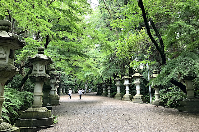 香取神宮・玉砂利の表参道
