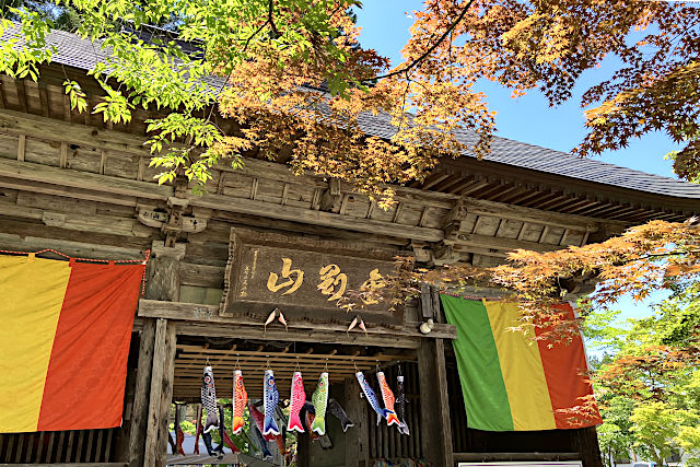 鳥追観音・仁王門