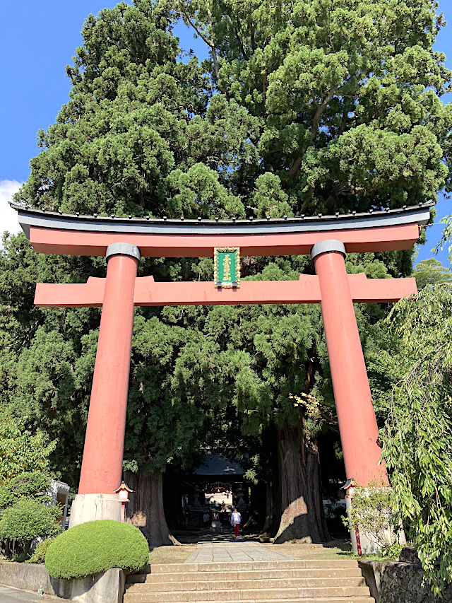 河口浅間神社の大鳥居