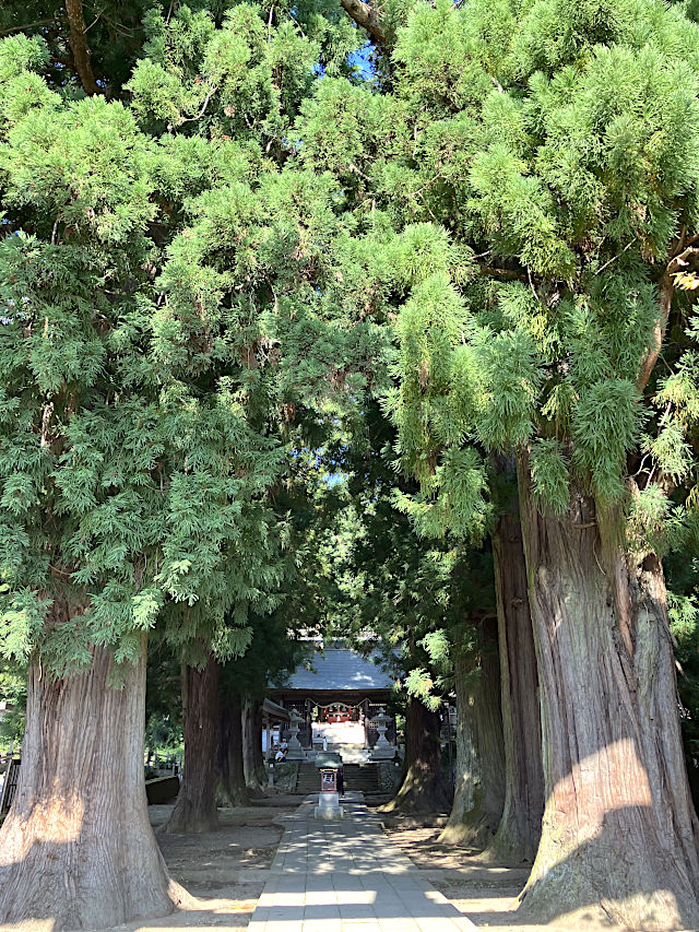 河口浅間神社の参道