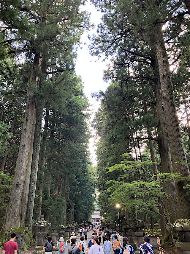 北口本宮冨士浅間神社・参道