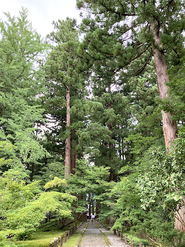 雲洞庵の参道
