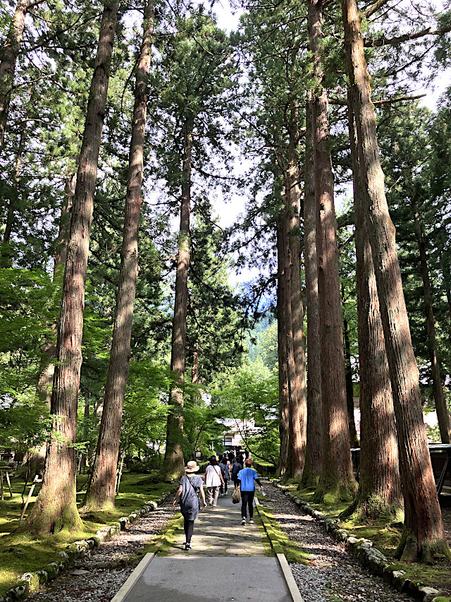 雲洞庵のの参道
