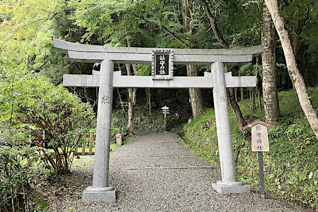 鎮守の杜