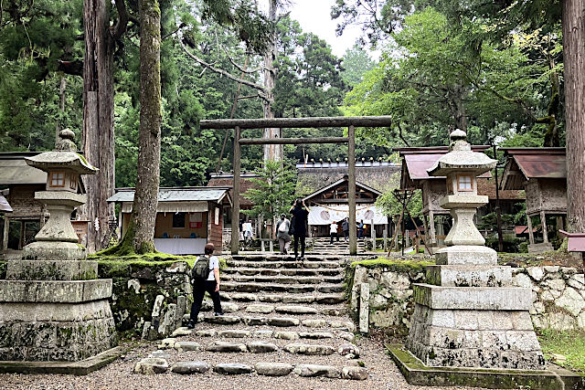 黒木の鳥居