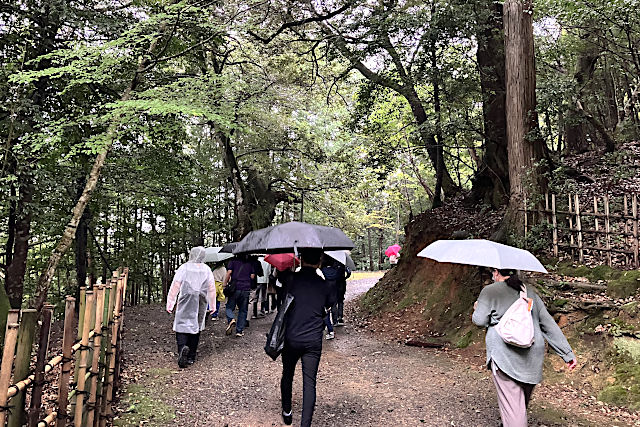 天岩戸神社へ