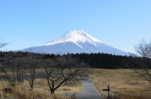 一日で、富士山・浅間神社五社巡り