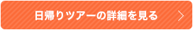 昆虫採集やもも狩りなど！