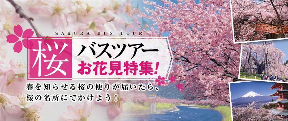お花見ツアー&桜ツアー特集の画像