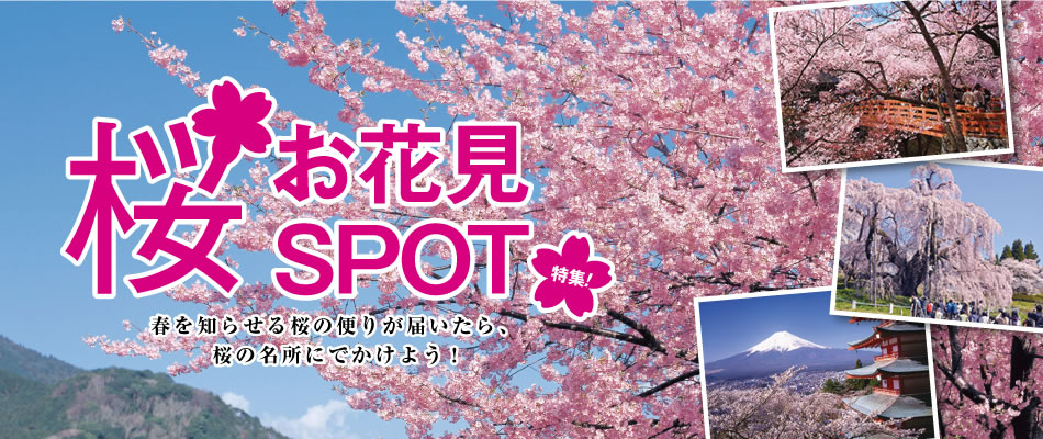 お花見ツアー&桜ツアー特集の画像