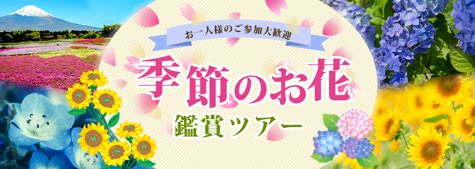 お花見ツアー&桜ツアー特集の画像