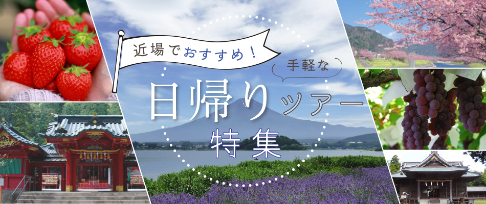 近場でおすすめ人気ツアーランキング特集