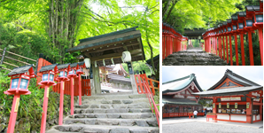 貴船神社と伏見稲荷ツアーのヴィジュアル