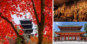 仁和寺・東寺・平安神宮のヴィジュアル