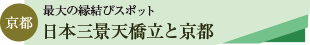 天橋立ツアーと京都散策のタイトル