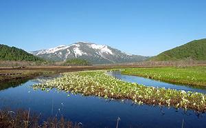 尾瀬ハイキングの画像