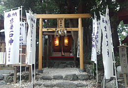 【スマステ放送分】SmaSTATIONで紹介された四季の旅の人気ツアーの伊勢神宮と石神さん「新明神社」バスツアーの写真