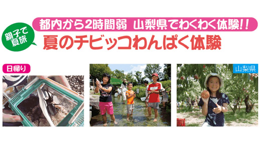 版 夏休みツアーランキング 四季の旅 版 夏休みツアーランキング 四季の旅