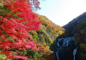 袋田の滝と花貫渓谷の紅葉バスツアー