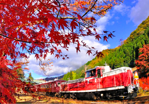 紅葉の宝徳寺とわたらせ渓谷バスツアー