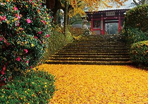 箱根紅葉名所めぐりバスツアー