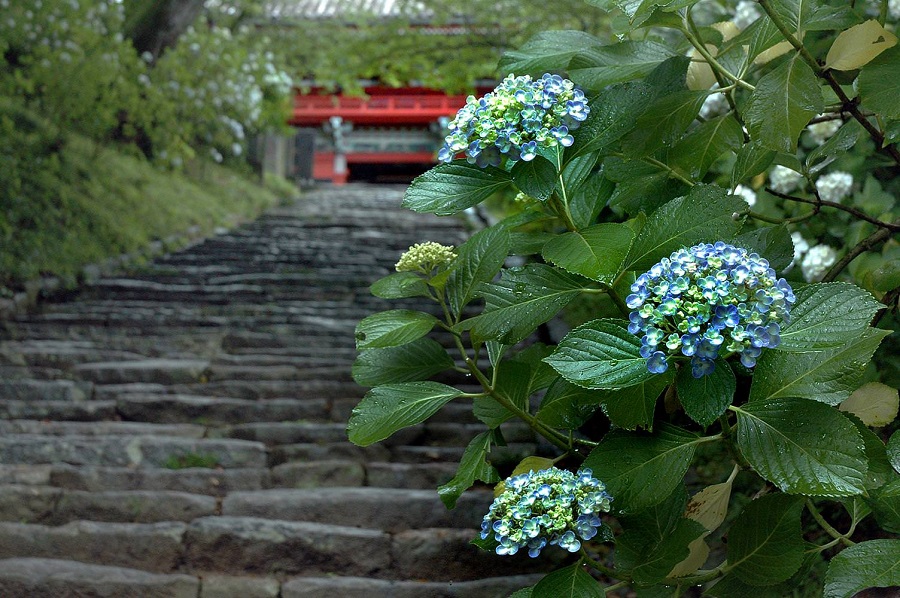 四季香る大平山神社