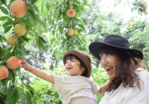 チビッコわんぱく体験in山梨ツアー