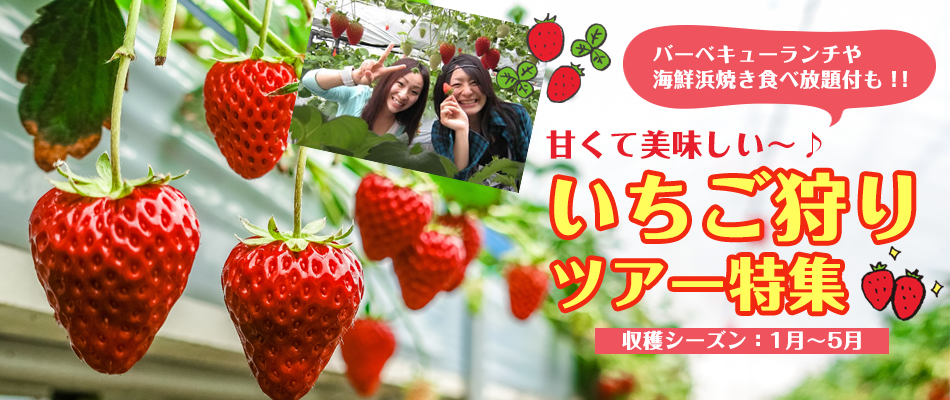 フルーツ狩りバスツアー特集