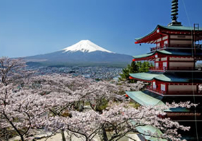 富士山五合目と山麓周遊