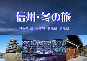 阿智村のウィンター・ナイトツアーのイメージ