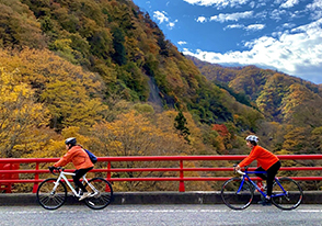 上野村紅葉のstory