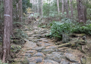 熊野古道特集