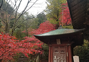 大山阿夫利神社と出雲大社相模分祀