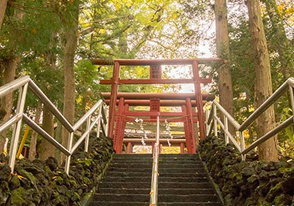 新倉山浅間公園からの初富士と金運新屋山神社ツアー