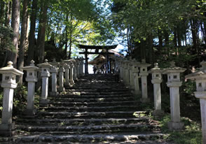 秩父羊山公園の芝桜と三峯神社参拝バスツアー
