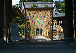 遠州三山　自分巡礼バスツアー