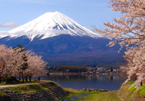 富士山五合目と山麓周遊バスツアー