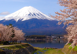 富士山五合目と山麓周遊