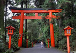 箱根月次祭ツアー