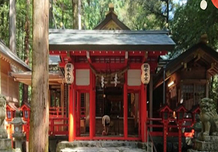 椿大神社の画像