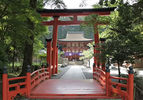  高野山と丹生都比売神社  ツアー