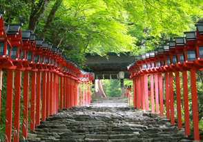   京都貴船神社と伏見稲荷ツアー