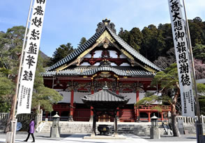 身延山久遠寺のしだれ桜と慈雲寺のイトザクラツアー