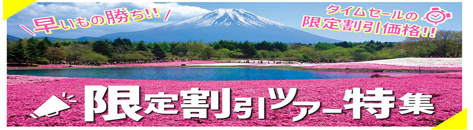 格安の限定割引ツアー特集