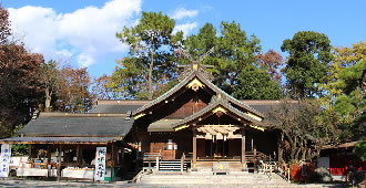 大山阿夫利神社下社と出雲大社相模分祀参拝ツアーのおすすめポイント