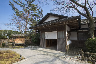 【圧巻】日立さくらまつりと雨引観音バスツアーのおすすめポイント詳細