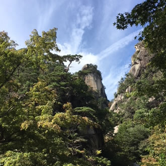 明野のひまわりとぶどう狩りのおすすめポイント詳細